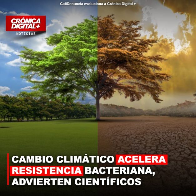 CAMBIO CLIMÁTICO ACELERA RESISTENCIA BACTERIANA, ADVIERTEN CIENTÍFICOS