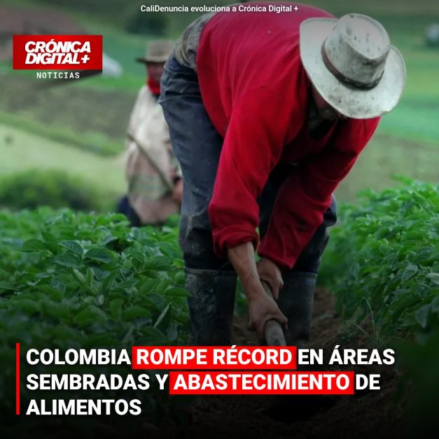 COLOMBIA ROMPE RÉCORD EN ÁREAS SEMBRADAS Y ABASTECIMIENTO DE ALIMENTOS