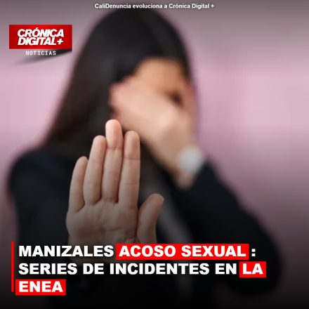 MANIZALES ACOSO SEXUAL: SERIES DE INCIDENTES EN LA ENEA