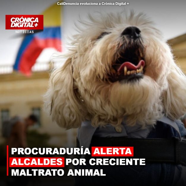 PROCURADURÍA ALERTA ALCALDES POR CRECIENTE MALTRATO ANIMAL