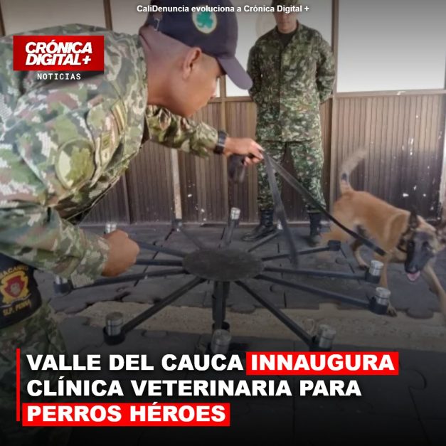 VALLE DEL CAUCA INNAUGURA CLÍNICA VETERINARIA PARA PERROS HÉROES