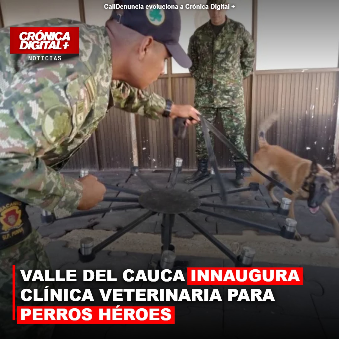 VALLE DEL CAUCA INNAUGURA CLÍNICA VETERINARIA PARA PERROS HÉROES