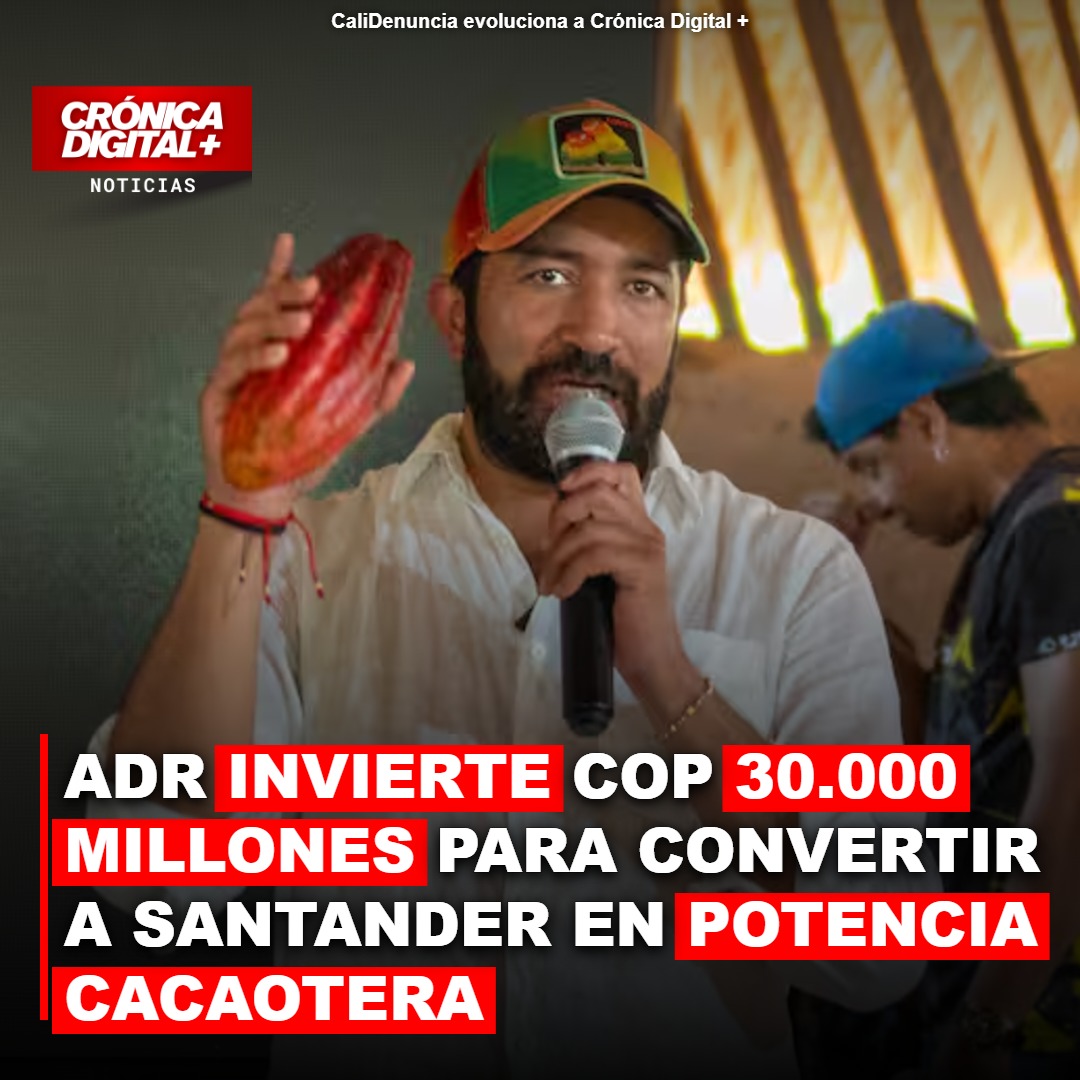 ADR impulsa el cacao santandereano con inversión de 30.000 millones de COP