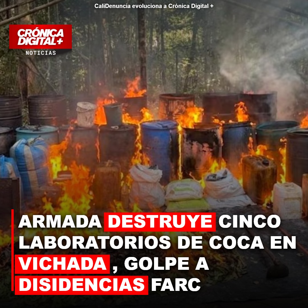 Armada desmantela 5 laboratorios de coca en Vichada: golpe a disidencias FARC
