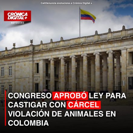 CONGRESO APROBÓ LEY PARA CASTIGAR CON CÁRCEL VIOLACIÓN DE ANIMALES EN COLOMBIA