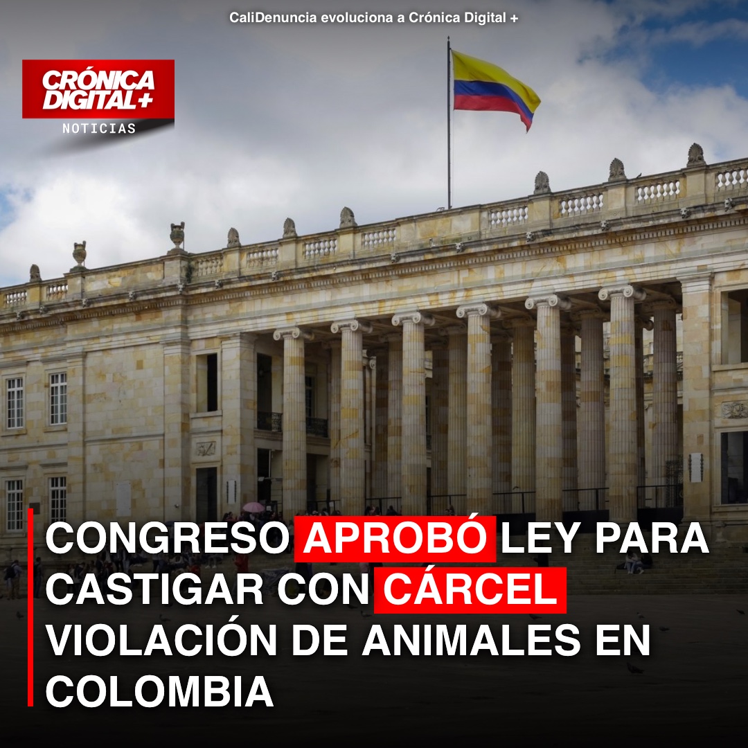 CONGRESO APROBÓ LEY PARA CASTIGAR CON CÁRCEL VIOLACIÓN DE ANIMALES EN COLOMBIA