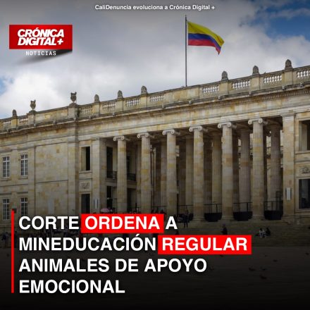 Corte Constitucional ordena a MinEducación regular ingreso de animales de apoyo a universidades