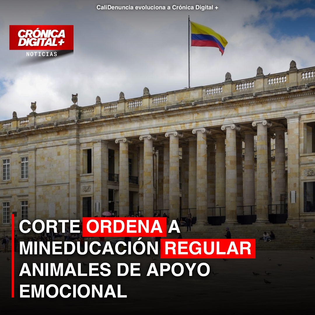 Corte Constitucional ordena a MinEducación regular ingreso de animales de apoyo a universidades