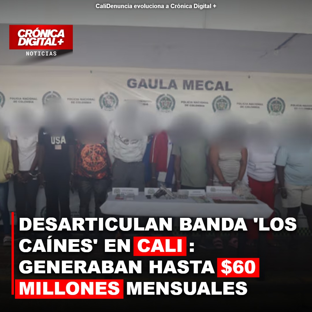 Desarticulan ‘Los Caínes’ en Cali: Extorsiones de hasta $60 millones mensuales afectan Comuna 21