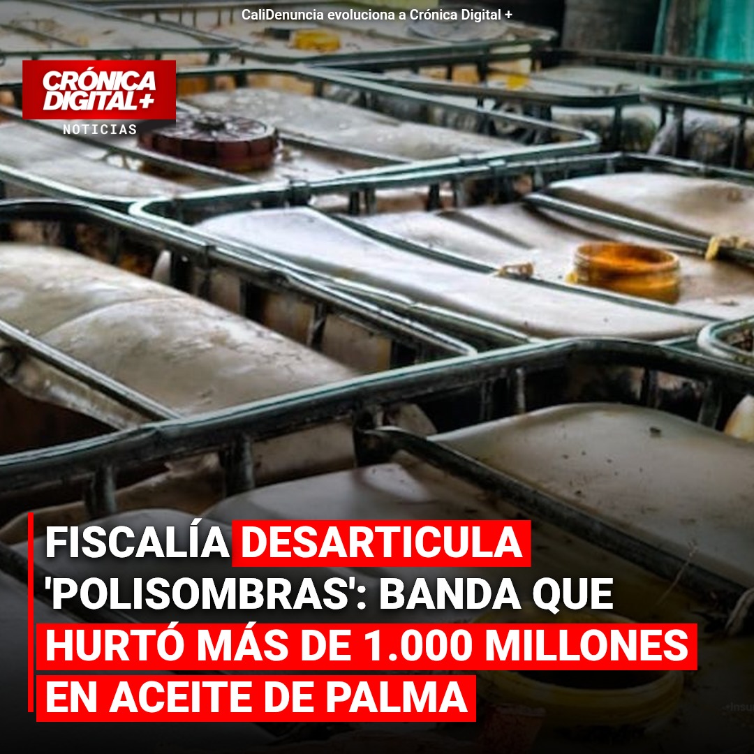 Desarticulan ‘Polisombras’: banda que robaba aceite de palma en Catatumbo