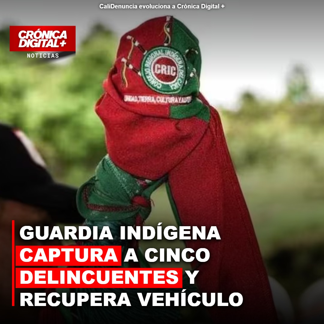 Guardia Indígena del Cauca captura 5 implicados en secuestro de esquema UNP