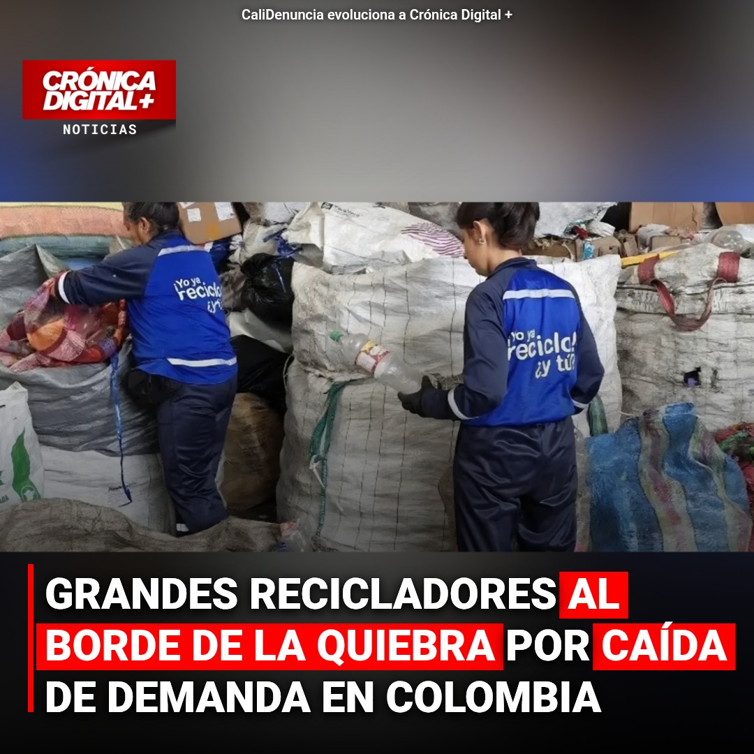 Recicladores colombianos al borde de la quiebra por importación masiva de papel