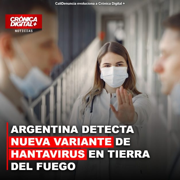 Argentina: Nueva variante de Hantavirus detectada en Tierra del Fuego