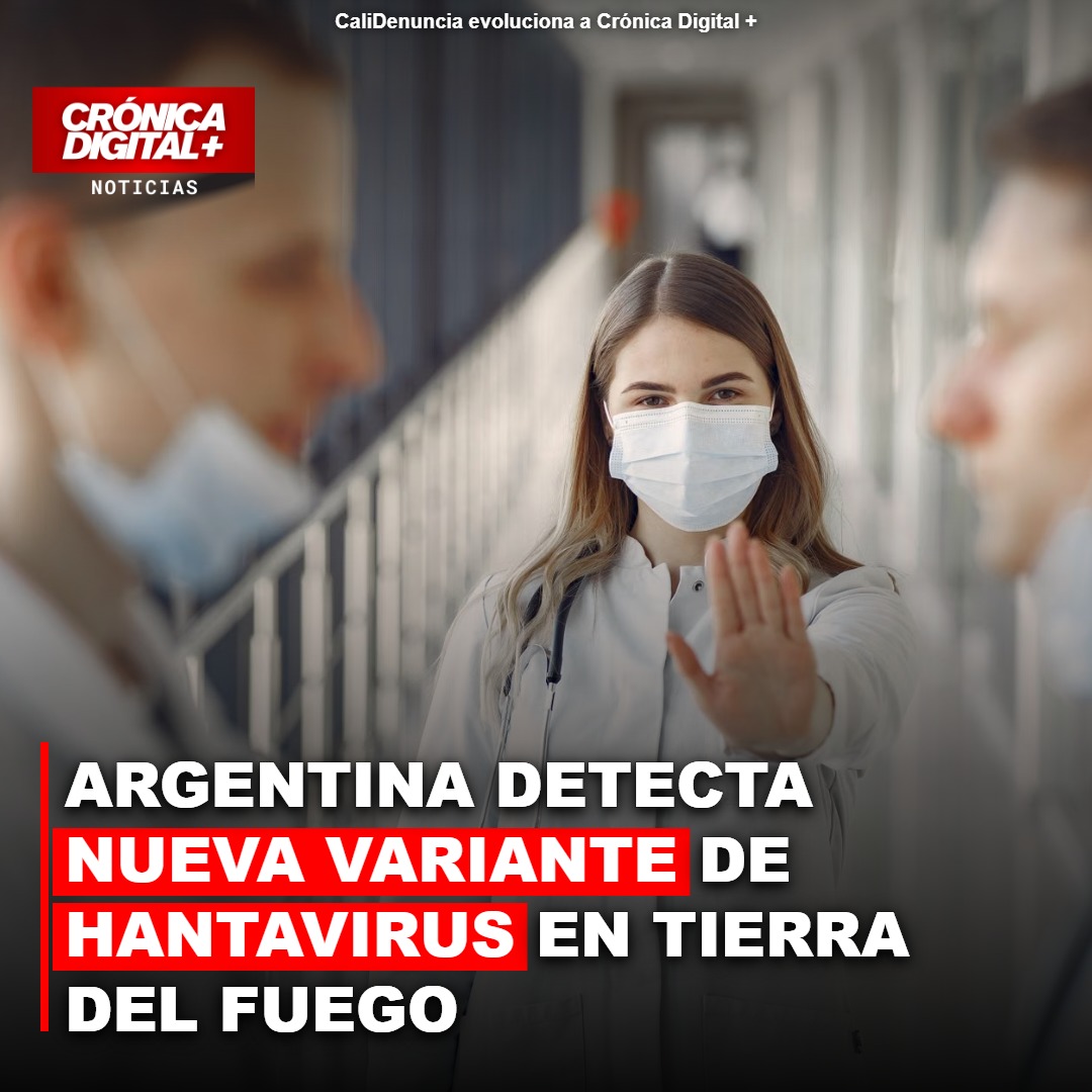 Argentina: Nueva variante de Hantavirus detectada en Tierra del Fuego