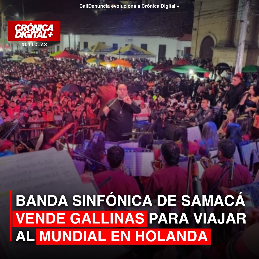 Banda de Samacá Vende Gallinas para Financiar Viaje a Mundial Musical en Holanda