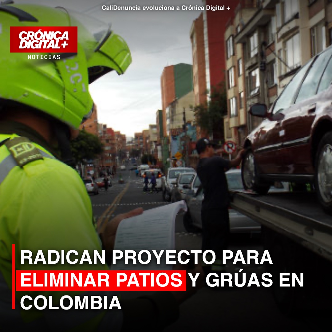 Briceño propone fin a patios y grúas con «inmovilización inteligente»