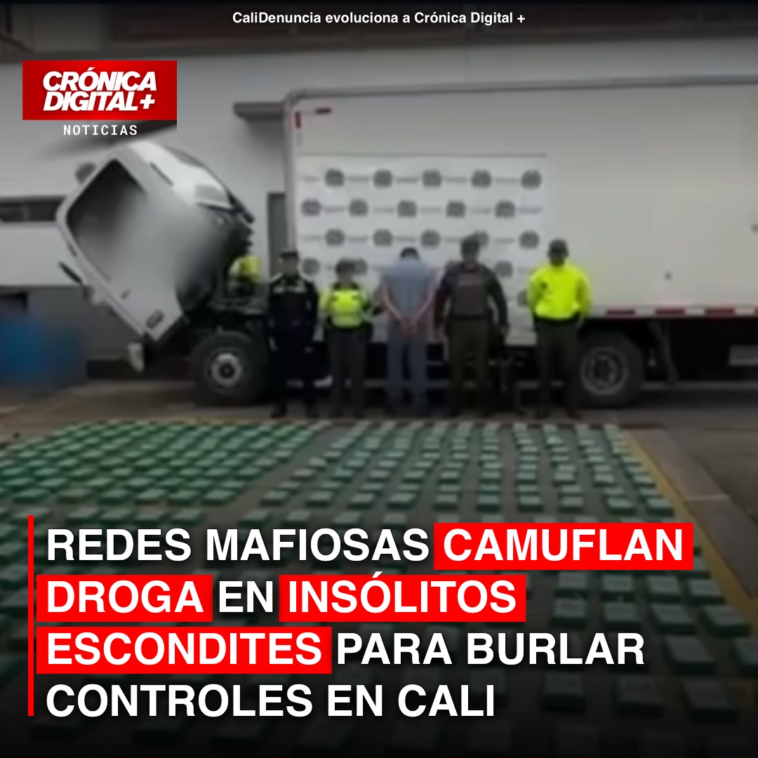 Cali: Estrategias de Narcotráfico y Cuatro Ocultamientos Inusuales