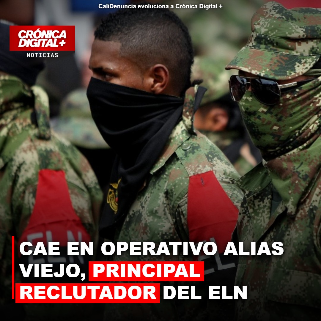 Capturan A ‘Alias Viejo’, Estratega Del ELN Para Reclutamiento En Suroccidente