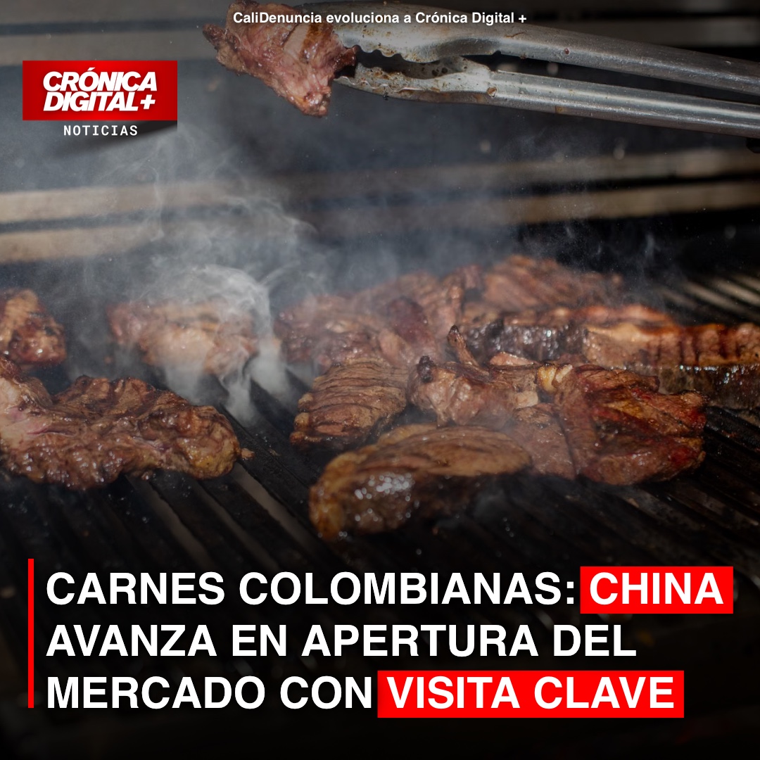 China audita plantas cárnicas colombianas: Expansión de exportaciones a la vista