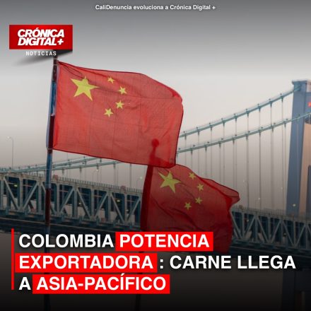 Colombia Impulsa Exportación Cárnica Hacia Asia-Pacífico