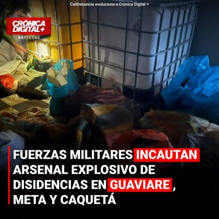 Desmantelan arsenal disidente con 500 minas en Guaviare, Meta y Caquetá