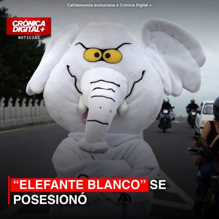 “Elefante blanco” se posesionó