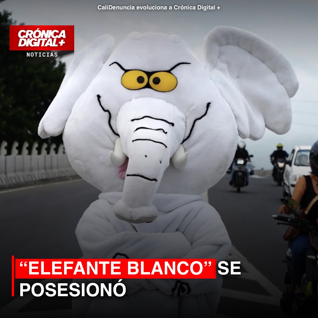 “Elefante blanco” se posesionó