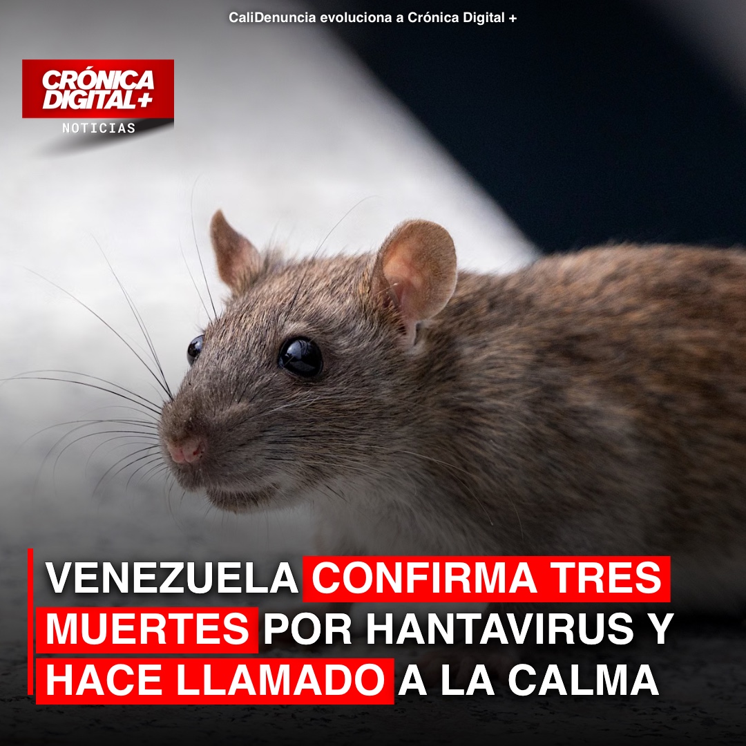 Hantavirus en Venezuela: Tres muertes confirmadas y llamado a la calma