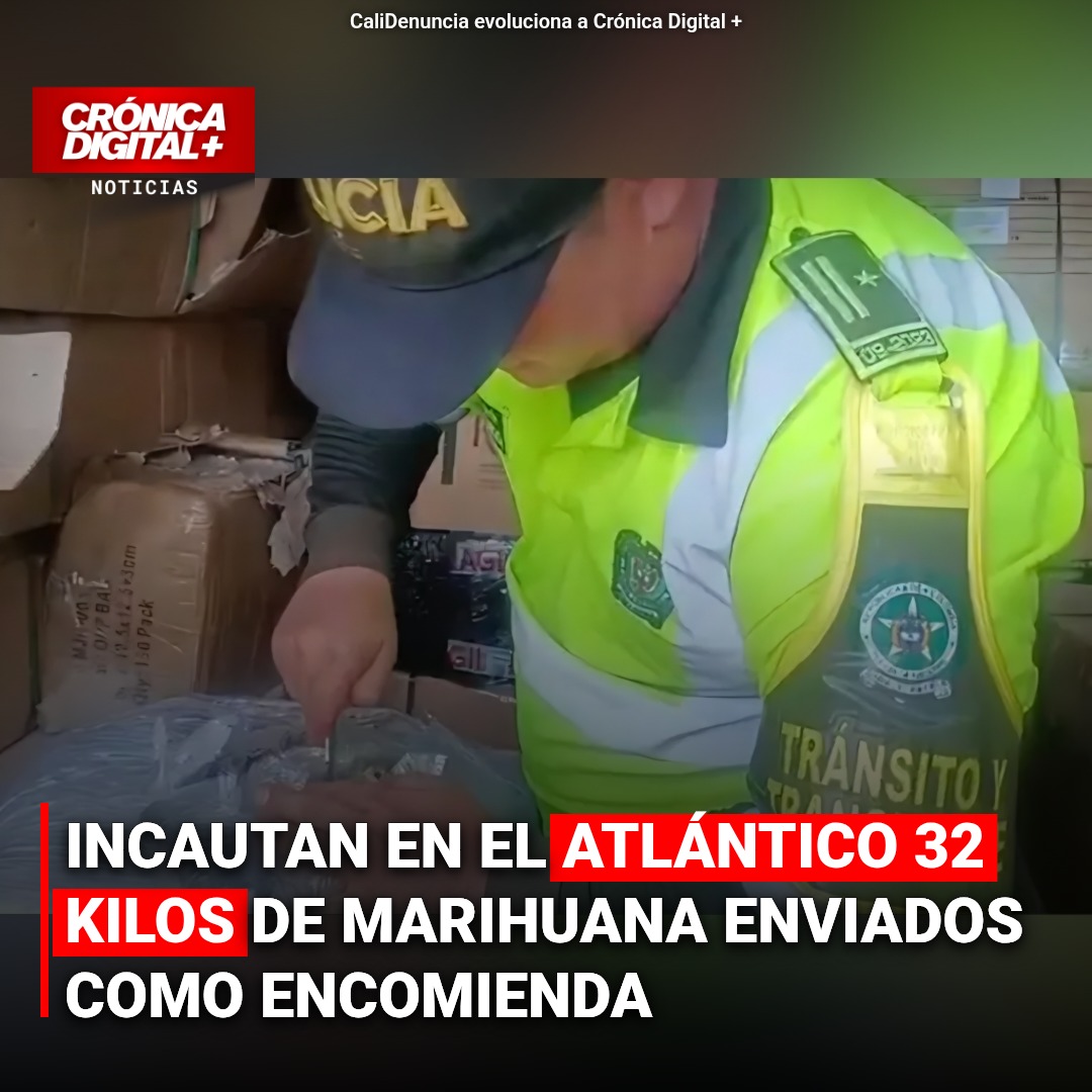 Incautados 32 kilos de marihuana camuflados en encomienda hacia el Atlántico