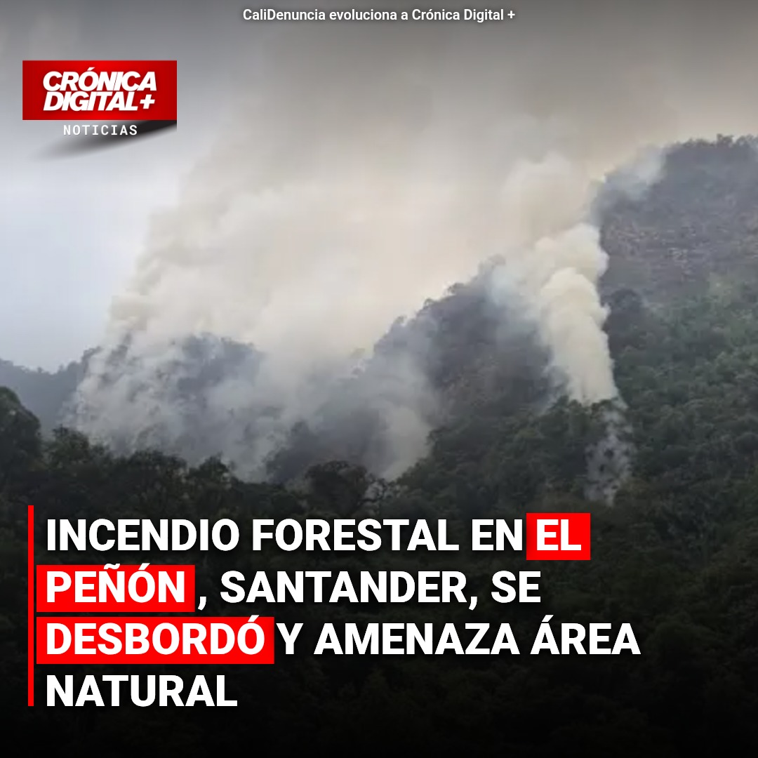 INCENDIO FORESTAL EN EL PEÑÓN, SANTANDER, SE DESBORDÓ Y AMENAZA ÁREA NATURAL