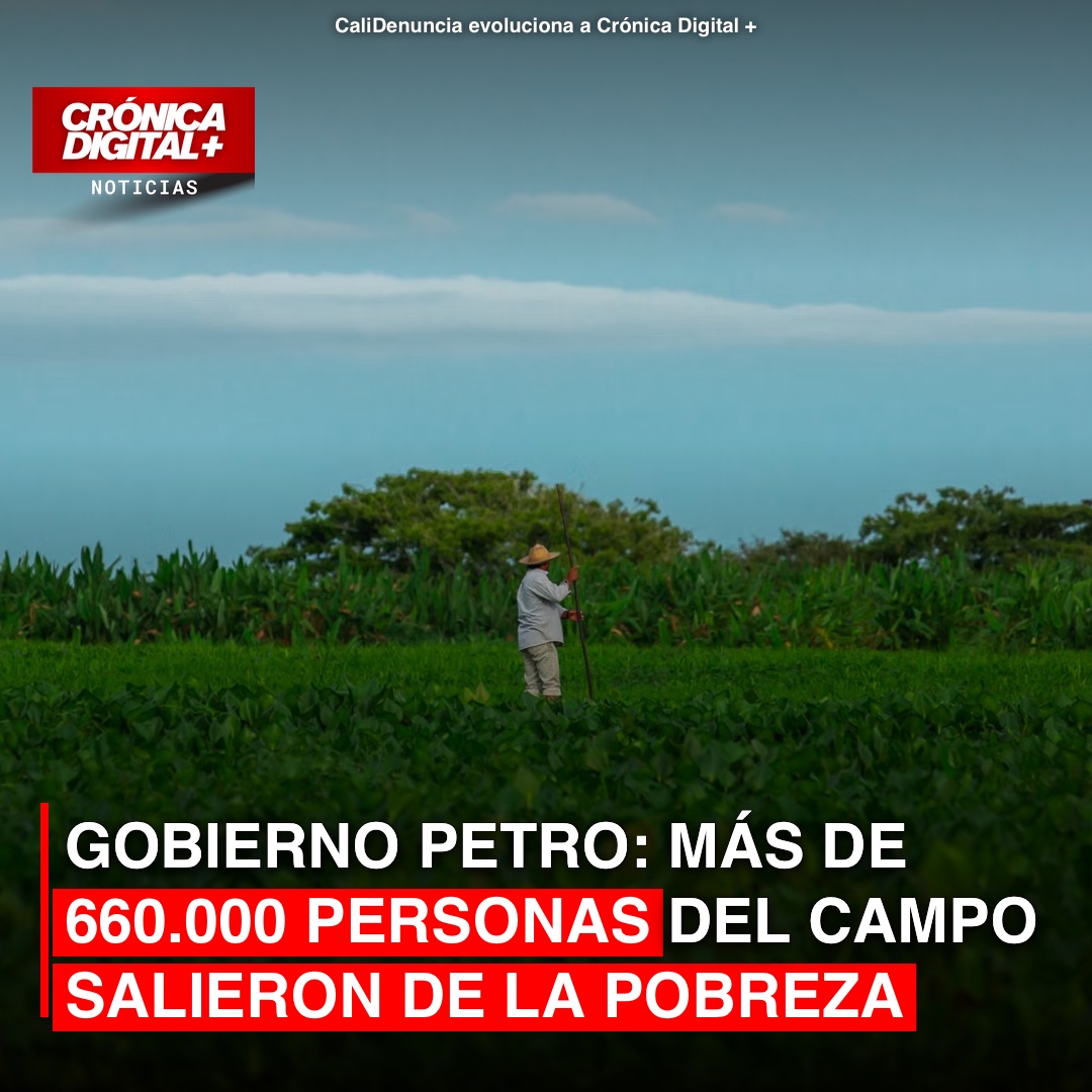 Logros rurales: 660 mil colombianos fuera de la pobreza agraria