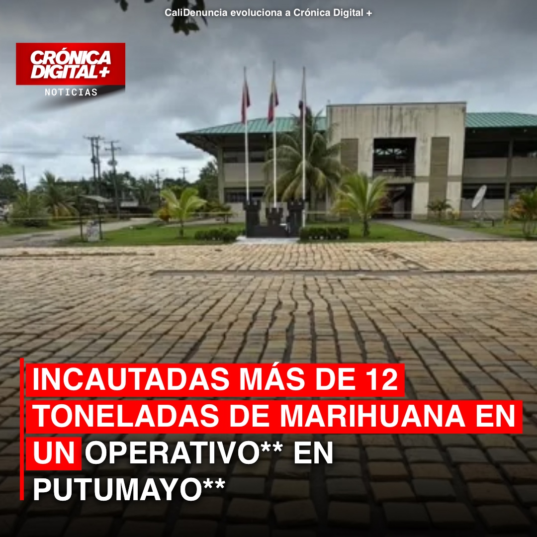 Operativo en Putumayo: incautadas 12 toneladas de marihuana