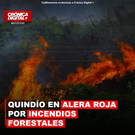 Quindío en Alerta Roja: Diez Incendios Forestales Desatan Emergencia Departamental