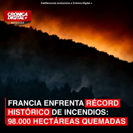 Récord histórico: Francia devorada por 98.000 hectáreas de incendios