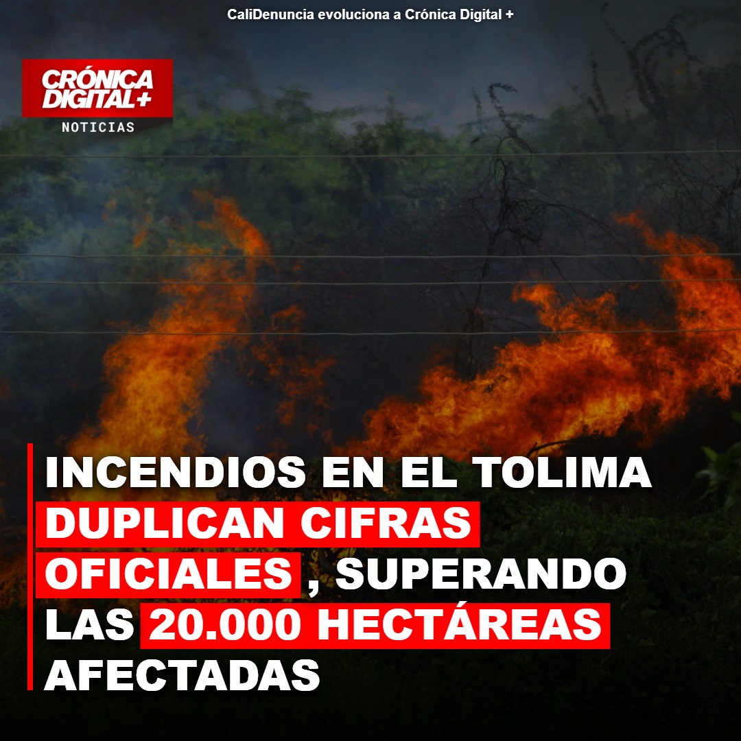 Alcaldes denuncian: Incendios en Tolima superan 20.000 hectáreas afectadas