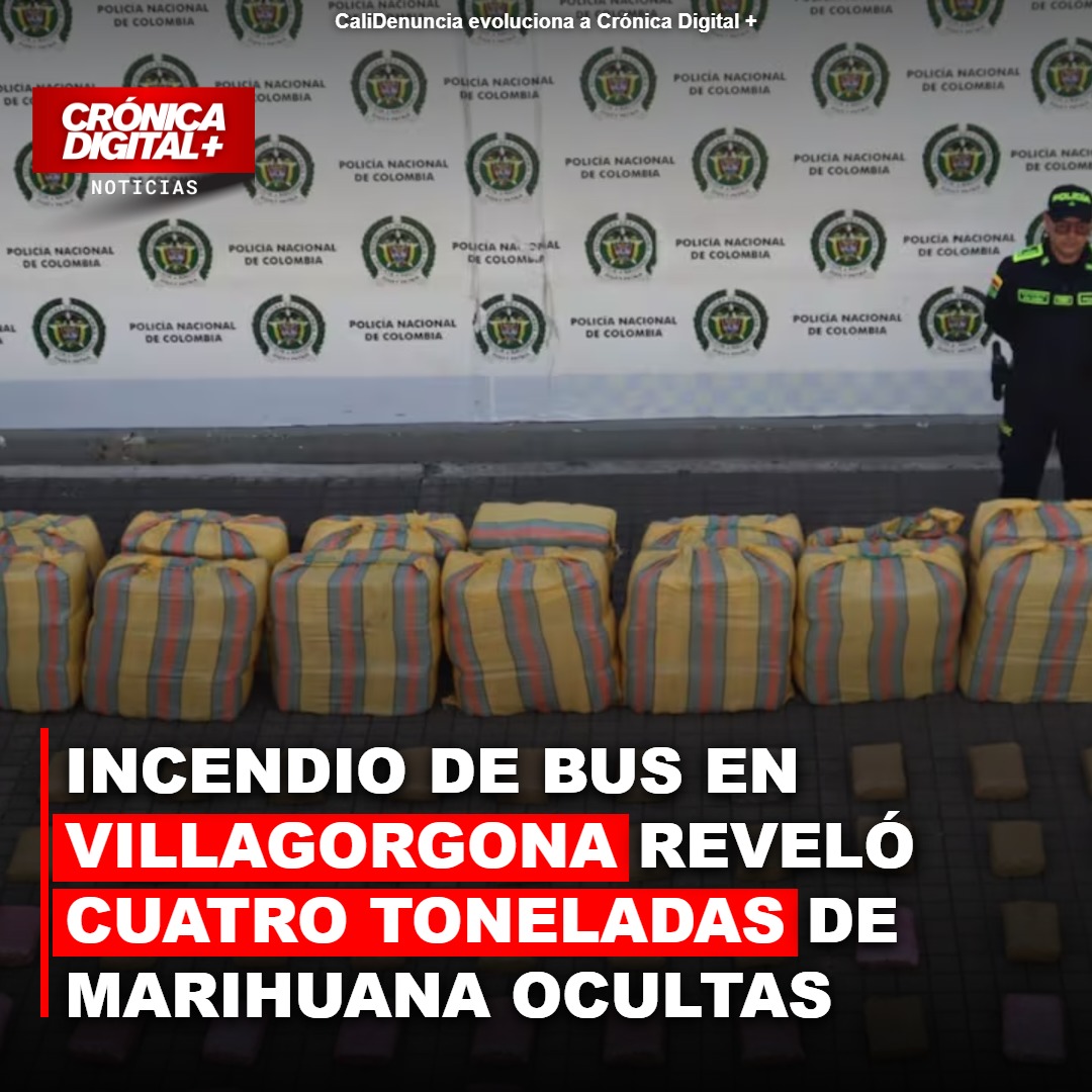 Bus incendiado en Candelaria ocultaba cuatro toneladas de marihuana