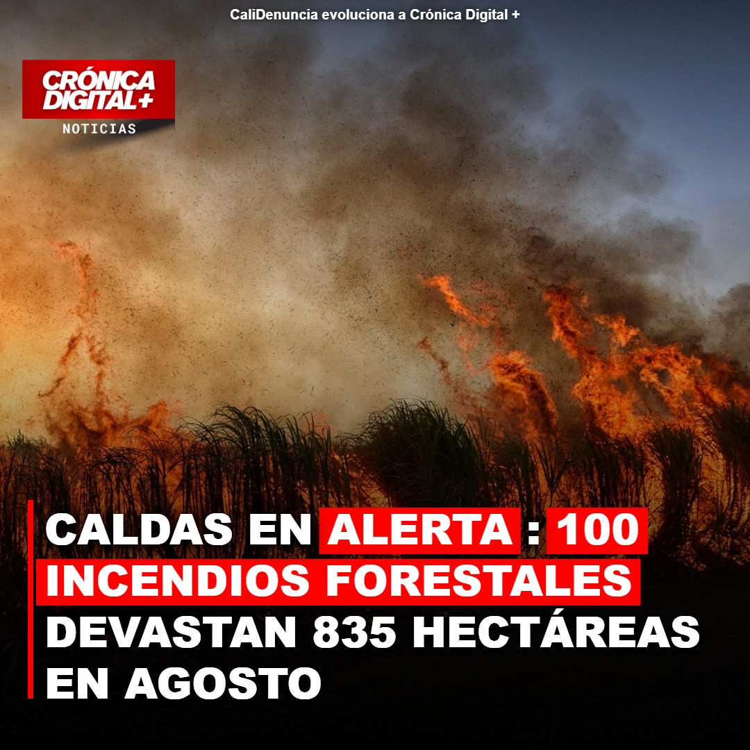 Caldas arde: 100 incendios devastan 835 hectáreas en agosto