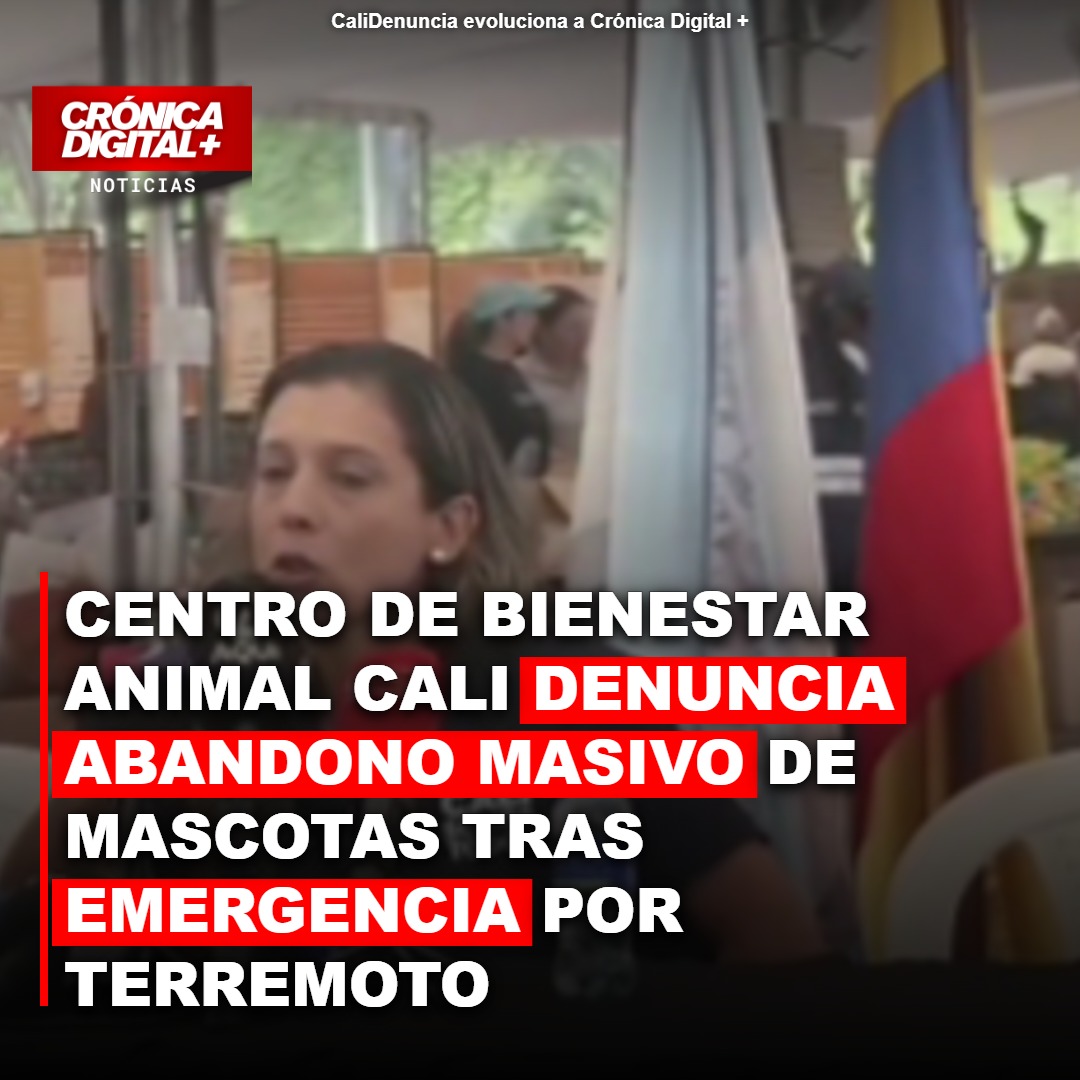 Cali enfrenta abandono masivo de mascotas tras emergencia sísmica