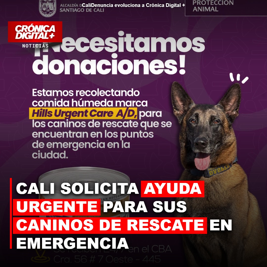 Cali pide ayuda urgente para sus perros de rescate en emergencia