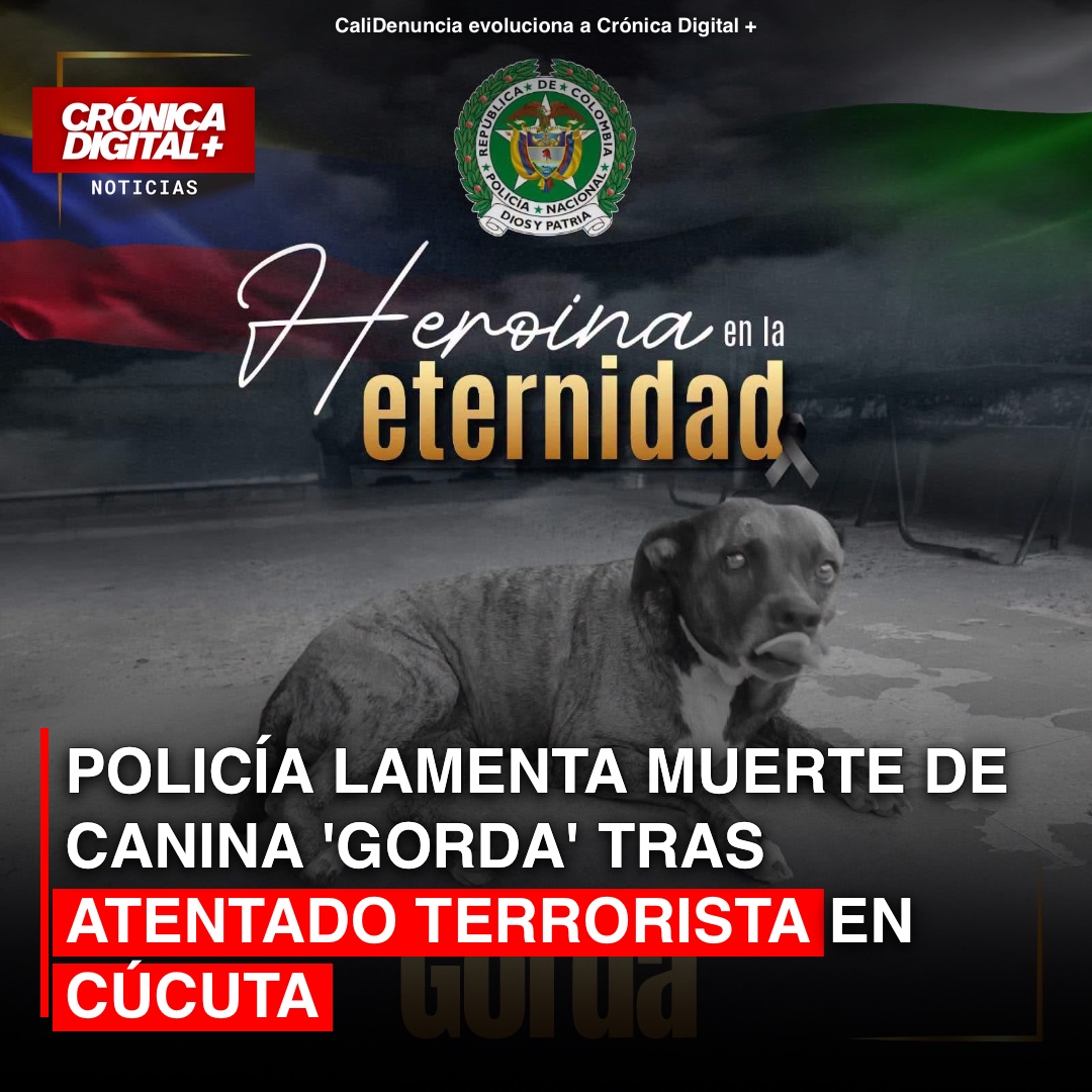 Canina ‘Gorda’ fallece en atentado de Cúcuta que dejó 11 policías heridos