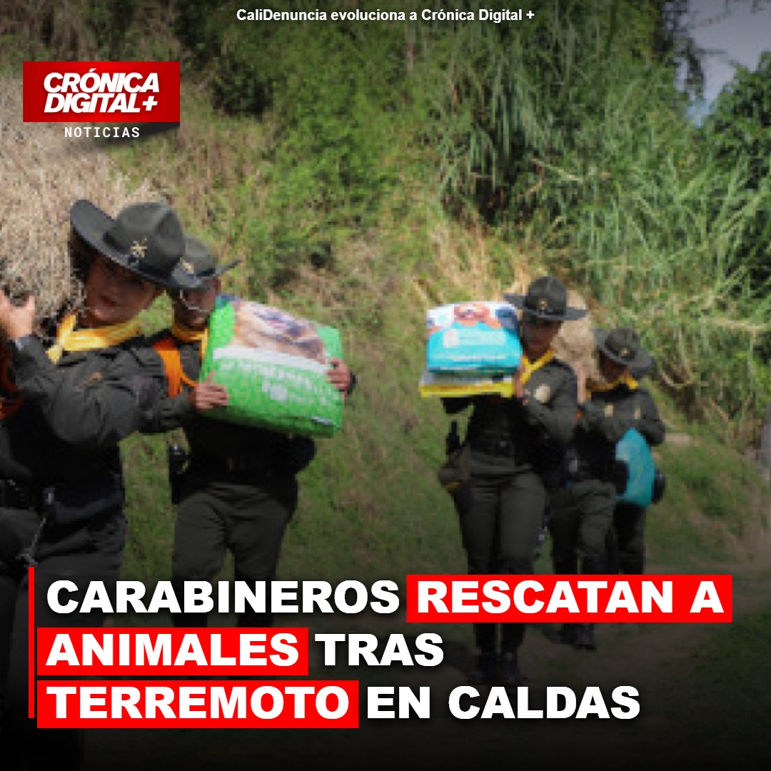 Carabineros asisten a fundación animal tras sismo en Chinchiná, Caldas