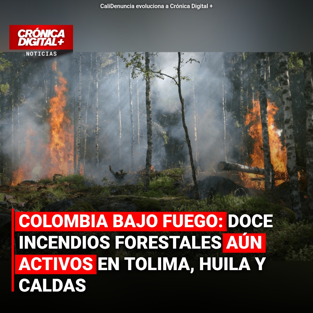 Colombia arde: Tolima concentra mayoría de incendios forestales activos