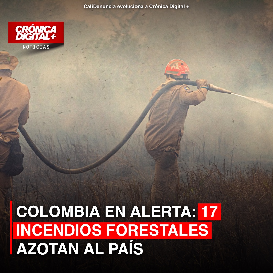 Colombia Enfrenta 17 Incendios Forestales Activos con Alerta Máxima