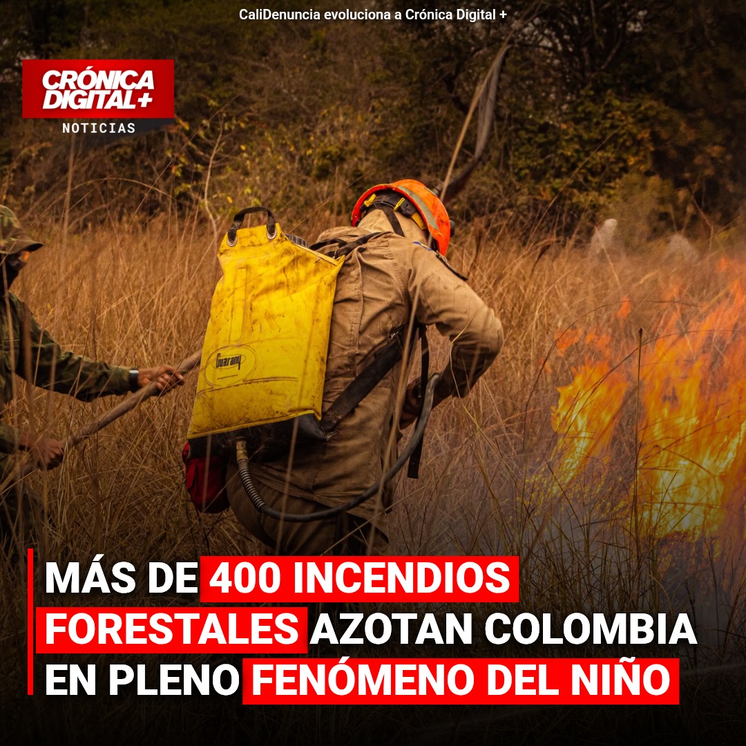 Colombia Enfrenta 438 Incendios Forestales por Fenómeno El Niño