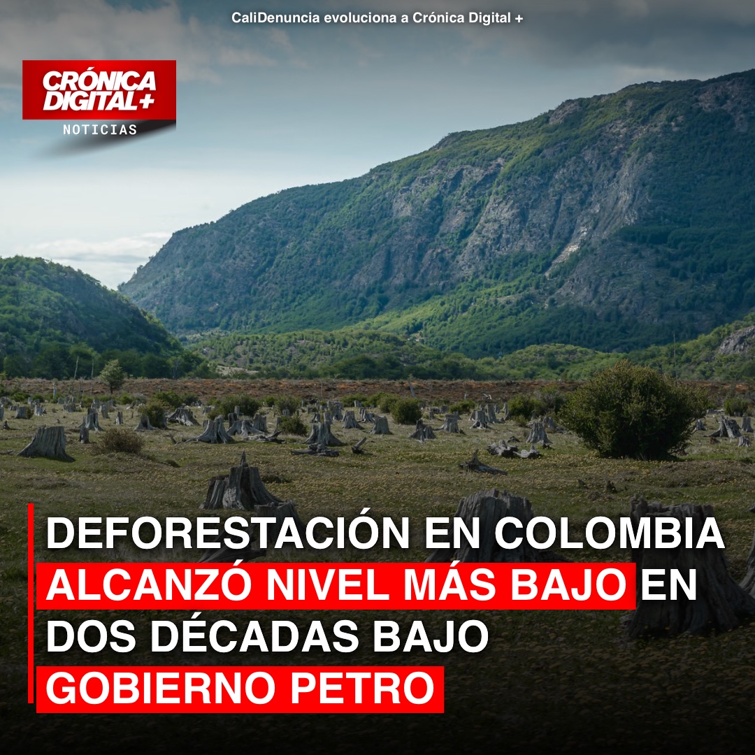 Colombia logra la menor deforestación en veinte años bajo gobierno Petro