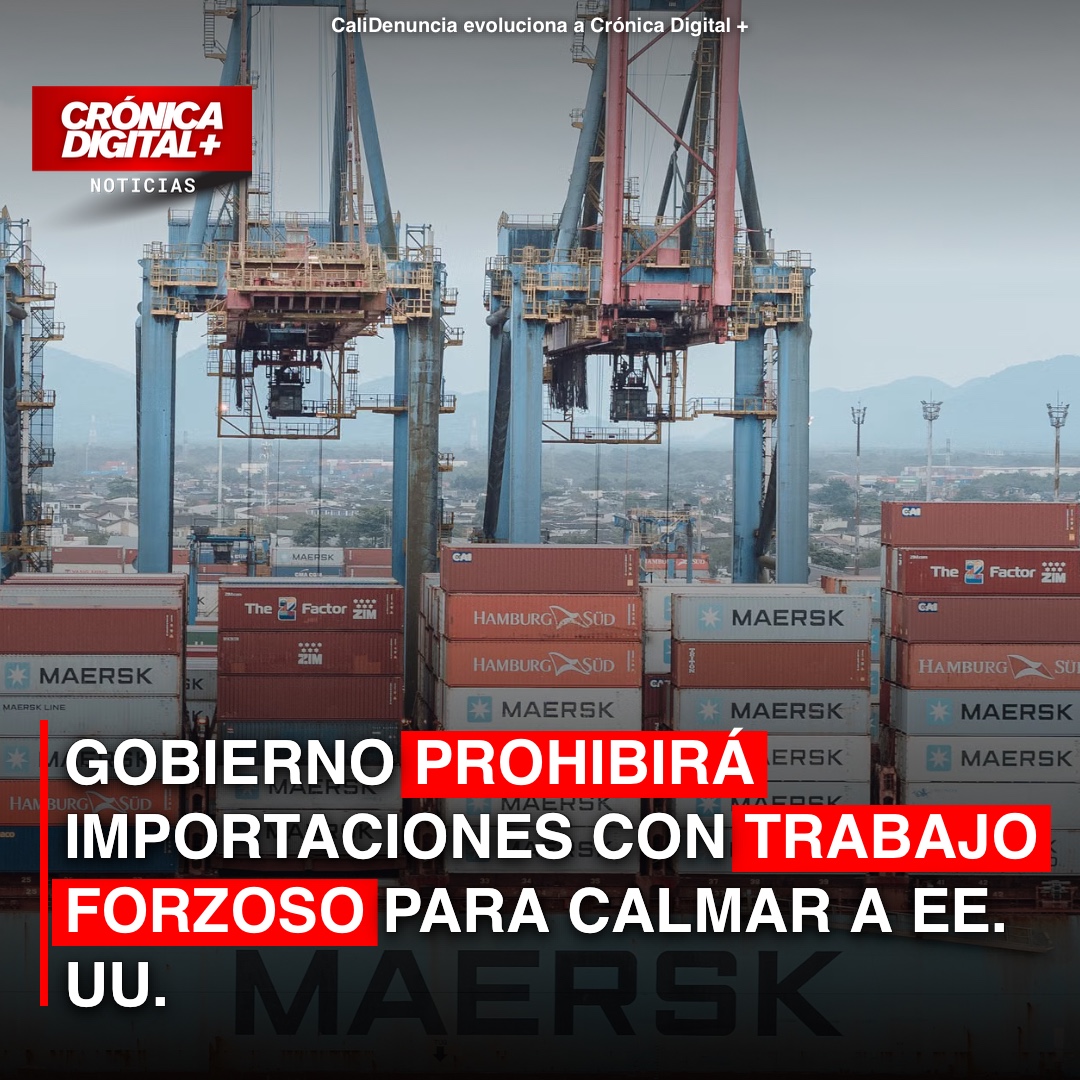 Colombia prohibirá importación con trabajo forzoso ante presión de EE. UU.