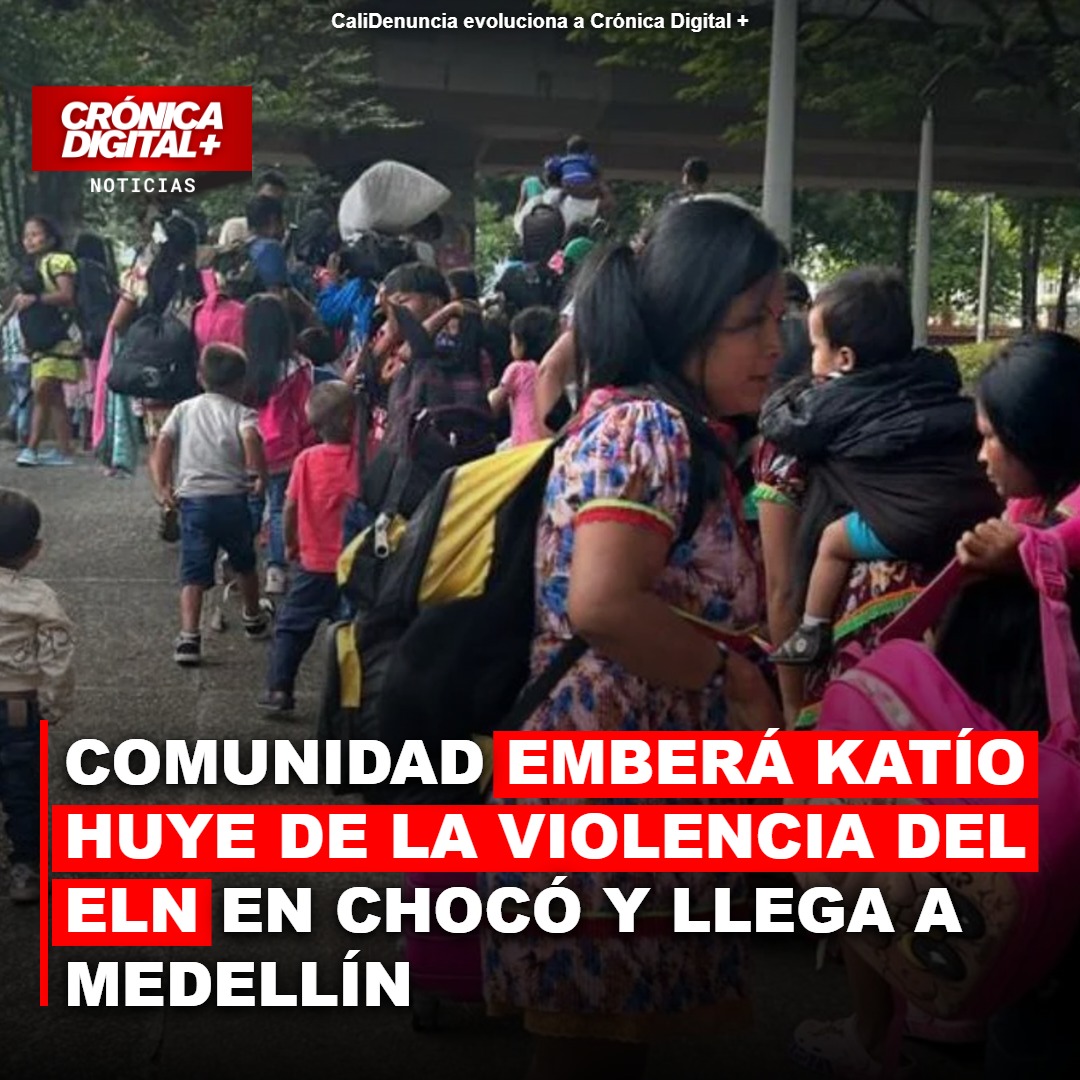 Comunidad Emberá Katío huye del ELN en Chocó y busca refugio en Medellín