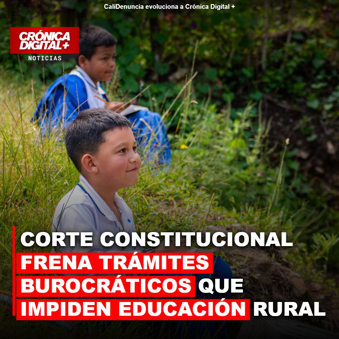 Corte Constitucional blinda educación rural ante trabas burocráticas