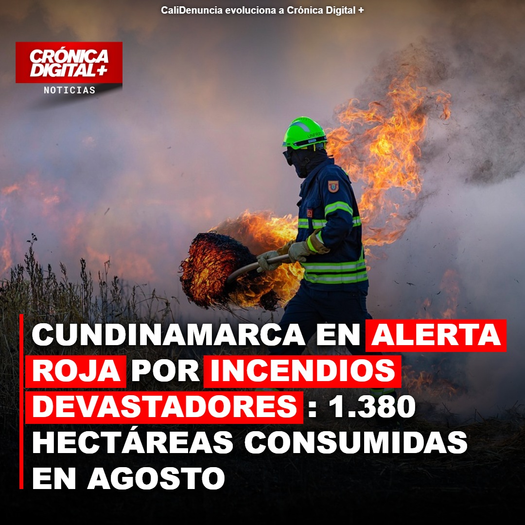 Cundinamarca en alerta roja por incendios: 1.380 hectáreas arrasadas en agosto