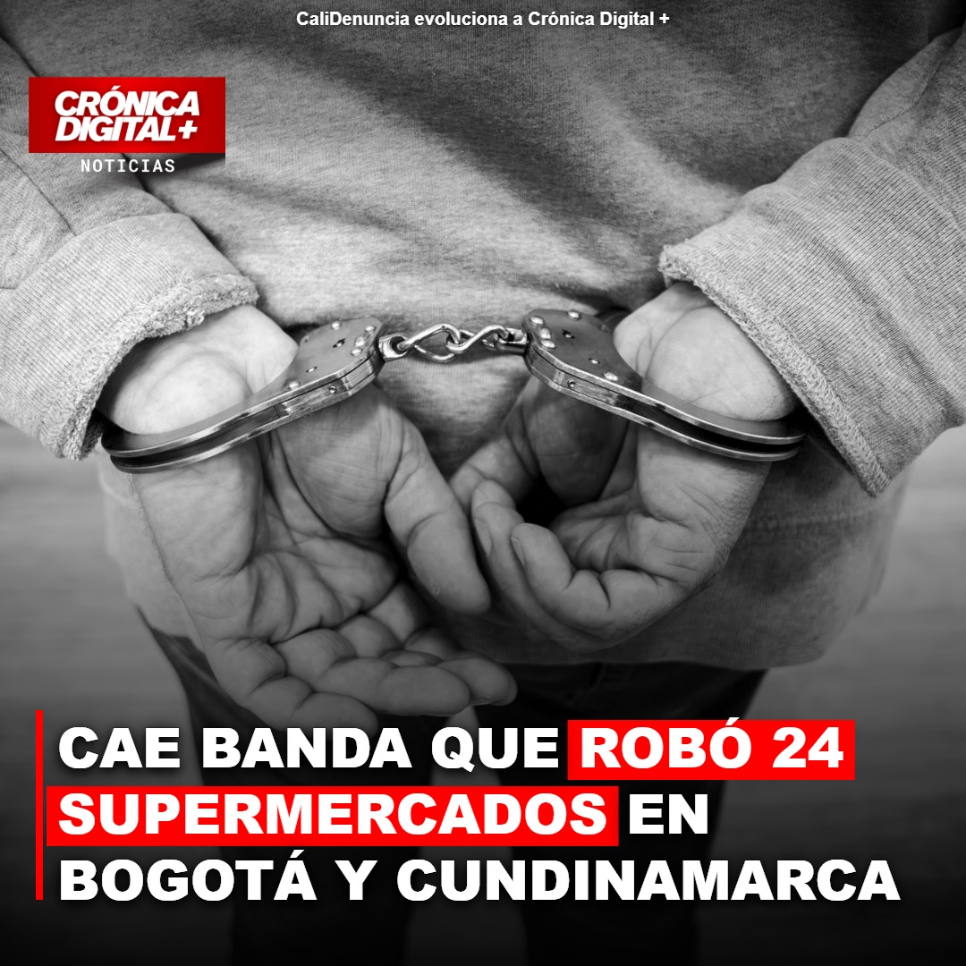 Desarticulada «Las Pirañas»: banda que asoló 24 supermercados en Bogotá y Cundinamarca